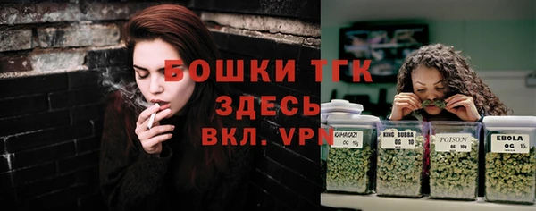 стаф Саяногорск