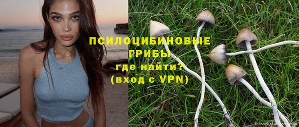 стаф Саяногорск