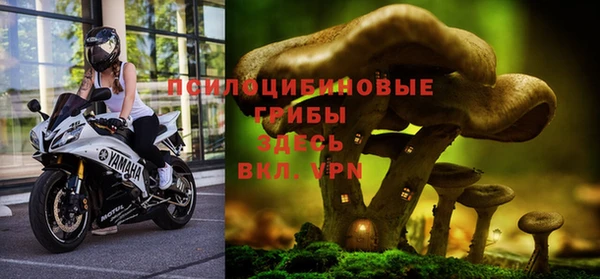 PSILOCYBIN Грязовец