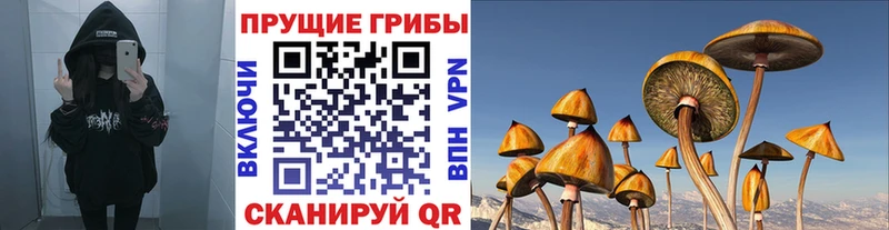 мега ссылка  Урень  Галлюциногенные грибы Cubensis  продажа наркотиков 
